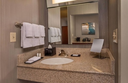 Rosslyn Hotel | Philips Collection Museum Tour! Pet-friendly, with Onsite Starbucks!