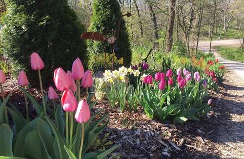 Whitewater House | Private Kettle Moraine Forest getaway w/Alpacas, fire pit & direct trail access!