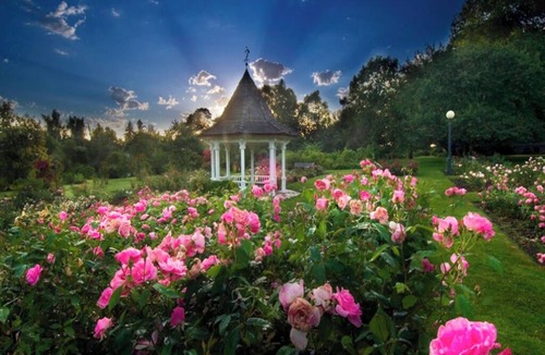 Central Area Hotel | Relax in a Welcoming Salem Retreat that Offers Charm & Comfort Near Attractions