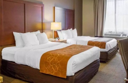 Waldorf House | Relax, Recharge, Rejoice! 2 Queen Beds- 12