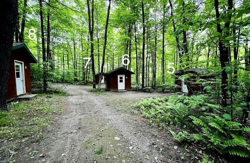 White Lake Cabin | Rustic Cabin Nestled in the Trees for a Unique Outdoor Experience in White Lake, Wisconsin