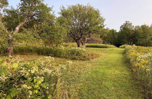 Ludlow Cabin | Rustic camping cabin on 360 acres with 2 lakes and trails, sleeps 8
