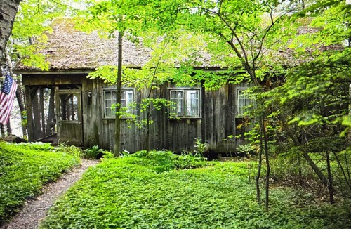 Charlotte Cabin | Rustic, charming cabin on Thompson's Point with stunning views of Lake Champlain