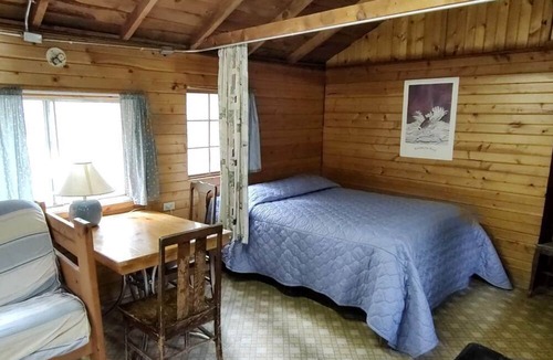 Bellvue Cabin | Rustic Glamping Cabin near Poudre River, Perfect for a Weekend of Fishing and Watching Wildlife