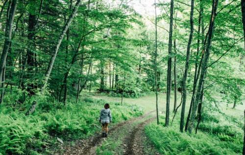 Mehoopany Ski Chalet | Secluded in the Woods Cedar Hot Tub Pet Friendly