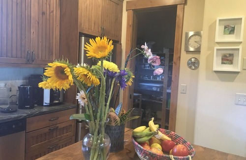 Eagle House | Sleeps 6 comfortable, cozy special Winter Lodge, a Summer Heaven fully furnished
