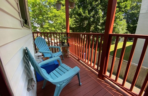 Washington Park Condo | Spacious Egleston Sq 3 Bedroom, Dog Friendly