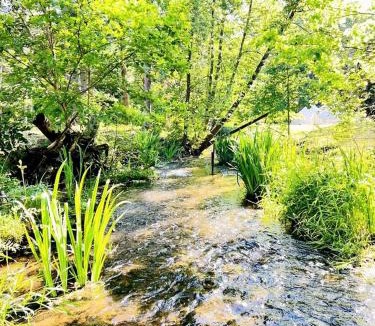 St Croix Falls Other | Stunning Cozy Tipi with Fire Pit in Saint Croix Falls, Wisconsin