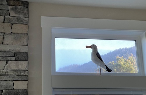 Neahkahnie Beach House | Sunset Hideaway ~ Oceanfront across from the beach, 14 min walk to restaurants