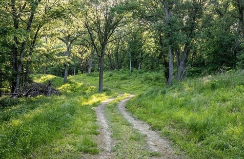 Thurston County RV Rental | Tentrr Signature Site - Hawthorn campsite 3