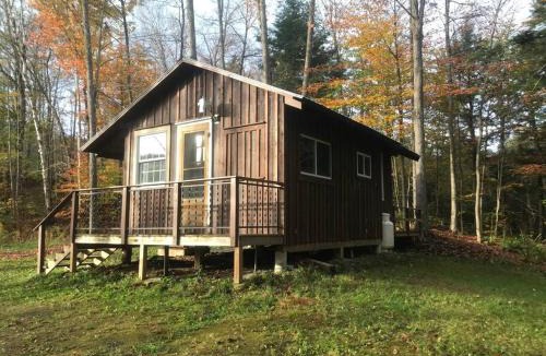 Rochester House | The Creek Cabin at Sky Hollow