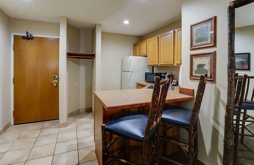 Peoria Hotel | Theme Suite w Kitchenette & Dry Bar! Stoney Creek Peoria | 2 Units