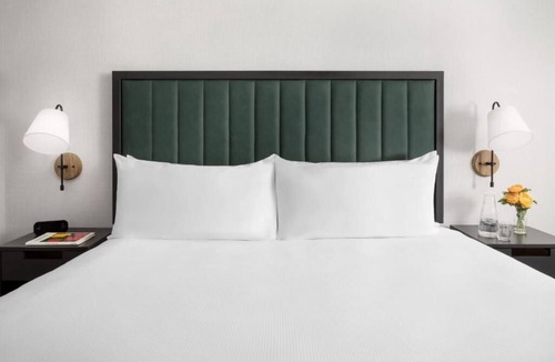 Brookline Hotel | Unique Design & Comfort in Room Close to Fenway Park!