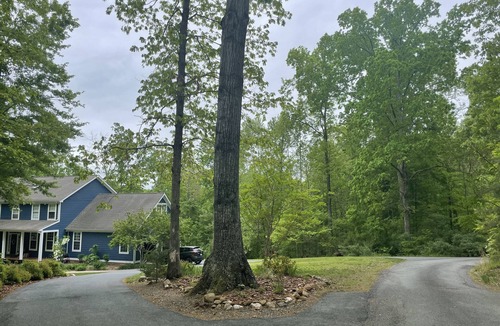 Batesville Apartment | Wandering Bear’s Den Private Studio Near Crozet and Charlottesville