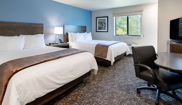 4 Bright and Inviting Rooms with Full Kitchen to Cook & Relax - Pet Friendly! in Watertown