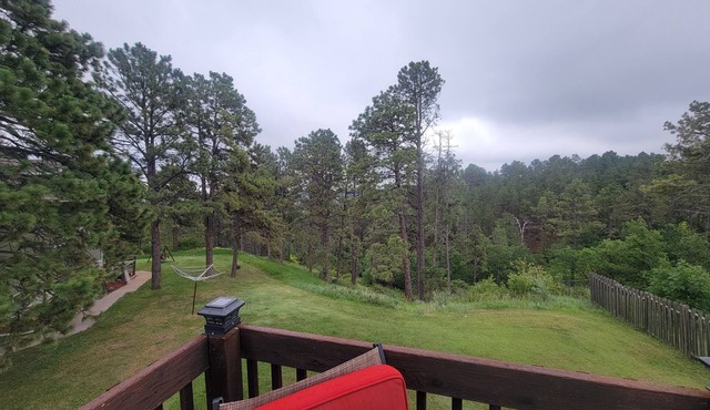 Beautiful & Comfy CABIN Retreat with abundant wildlife, WIFI and AC