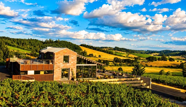 Breathtaking 2-bedroom hilltop vineyard estate in charming Yamhill, Oregon