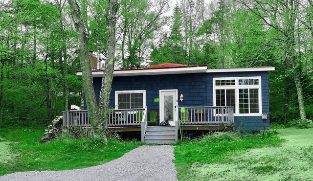 Bright airy cottage with lakeview in Woodford Vt - perfect vacation getaway
