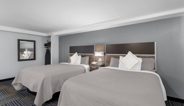 Cape Cod Charm on a Budget – 2 Pet-friendly Rooms Near Beach, Ferry & Dining in Falmouth