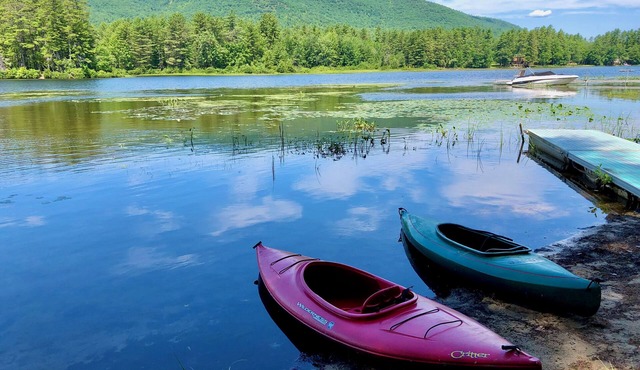 Charming Cabin, Lake Access! Backyard Bubbling Brook. Pets Welcome!