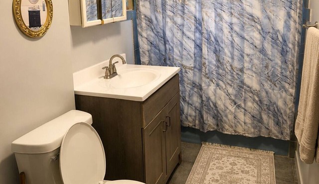 Charming Farmhouse Fully Furnished Near Chicago and Metra