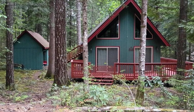 Charming Retreat w/Woodstove & Old School Movies - Hoodsport/Lake Cushman