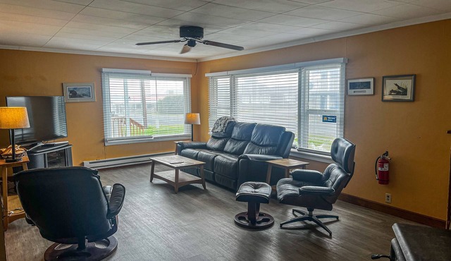 Comfortable and dog-friendly cottage, walk to Pacific Beach State Park