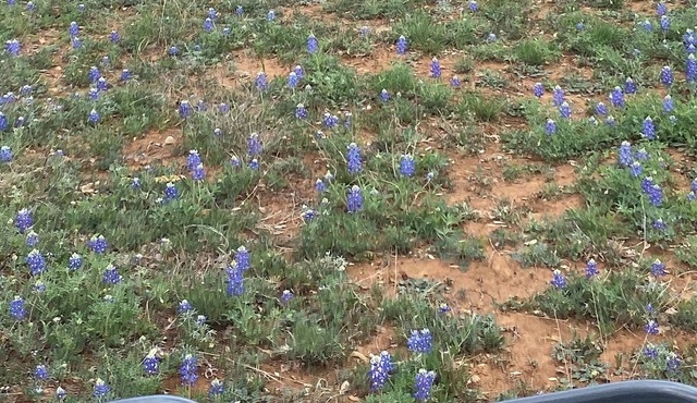 Dry Camping! Solar Eclipse Totality! in Llano