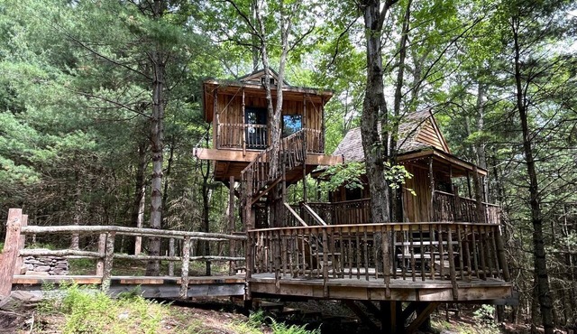 Eco-Friendly, Abstract Treehouse Surrounded by Wildlife and Hiking Trails For a Special Getaway in Sparrow Bush, New York