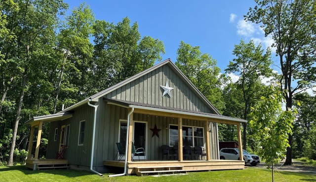 Firefly Cottage in the heart of the FingerLakes. Amazing Vineyard views