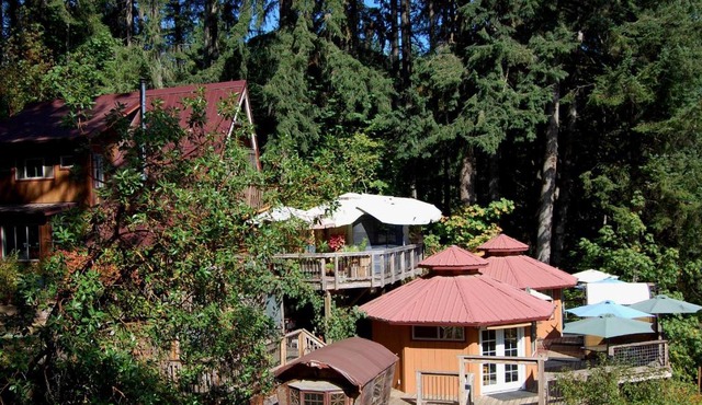 Hillside Deck Cottages - Rustic PNW Retreat cottage