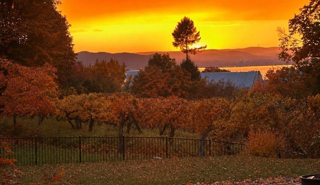 Hudson Valley Fall Escape · 50min to NYC · 3 Acre in Ossining