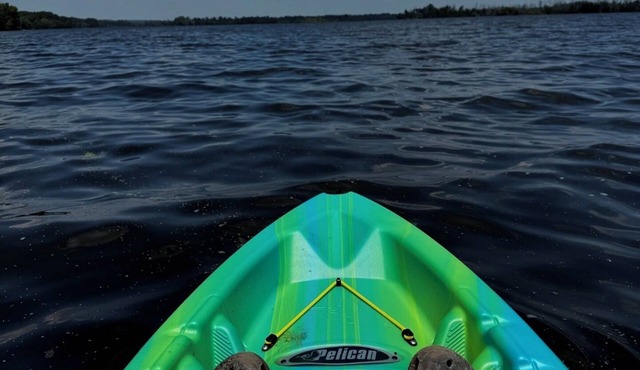 Iowa Cabin: Rustic+Cozy. Lake Odessa water-view. Hunt, kayak, fish or explore.