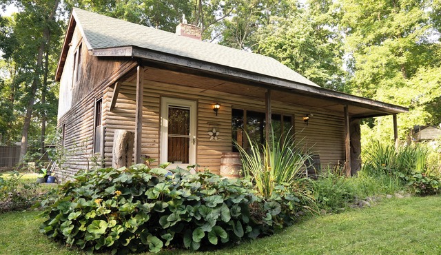 Kozy Kabin Retreat in Ann Arbor with Huge Yard to Unwind!