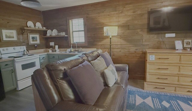 Log Cabin with Full Kitchen, Hot Tub, Fireplace, King + Pullout