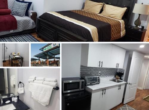 Luxurious 1BR - 1BA Apt Modern Bright with free parking-pc in Brampton