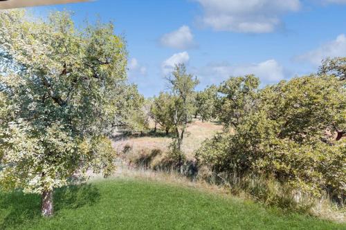 Luxury Hill Country Home in Horseshoe Bay Near Lake LBJ & Golfing with Game Room
