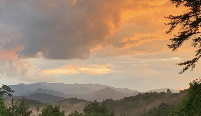 Mystic Smoky Mornings, Woodland Charm, Fireflies & Starry Nights Await