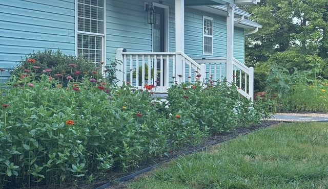 Newly renovated, one-level 3-bedroom home with a gorgeous Mountain View.