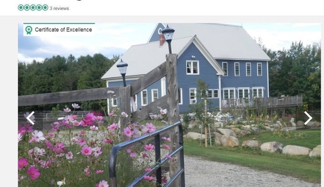 Nothing Beats Summer in Maine on 7 Acres in Maine - Dogs Welcome! Work Remotely