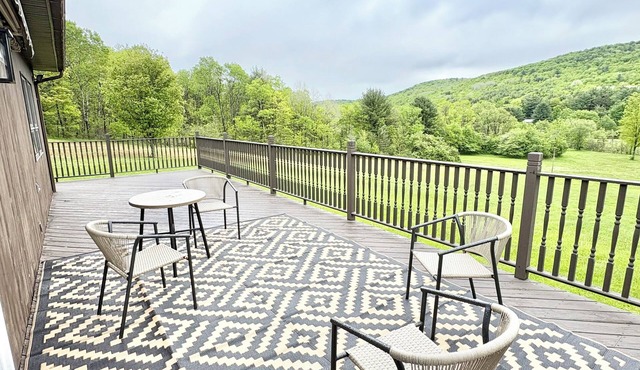 Pet Friendly 4 bedroom house, shuffle board, Pac Man Close to Watkins Glen