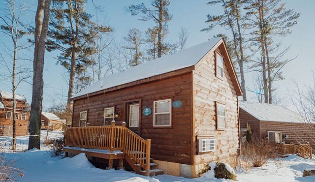 Pet Friendly White Mountains Cabin with Lake