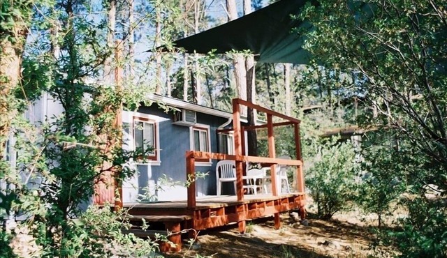 Quaint Home Away from Home in the Whispering Pines.
