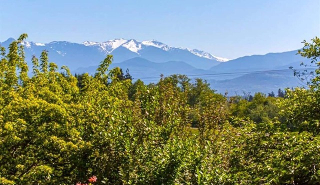 Rabbit's Peaceful Retreat with Stunning Views