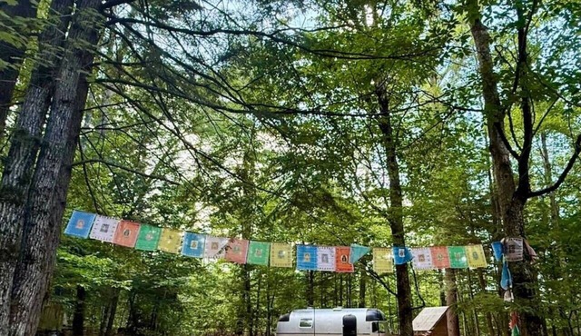 Retro Glamping in Louise the forest Airstream!