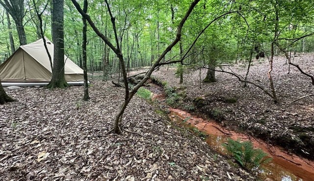 Romantic Bell Tent Retreat in Georgia’s Enchanted Forest near Lake Oconee