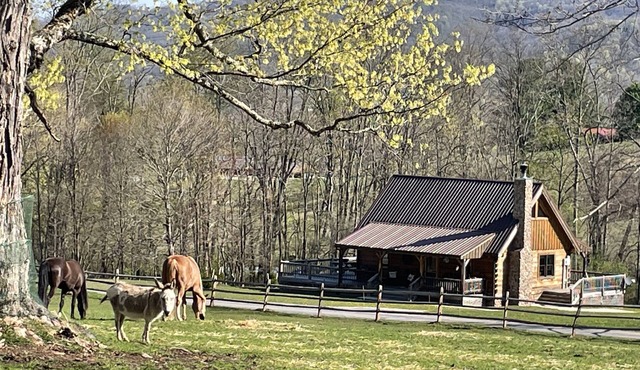 Romantic "Morning Glory” for 2 has a tranquil setting across from a horse farm!