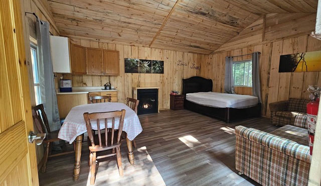 Rustic Off Grid Cabin. Pet Friendly, Private environment in South River