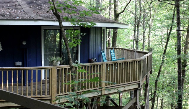 Rustic Tree Top Cabin in Sky Valley, Georgia
