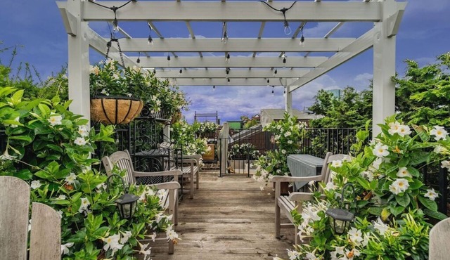 Stunning Rooftop Apartment & Garden Deck